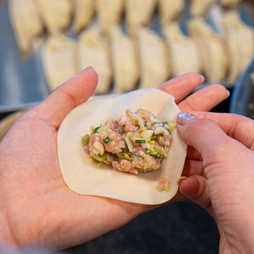 Japanese gyoza making 