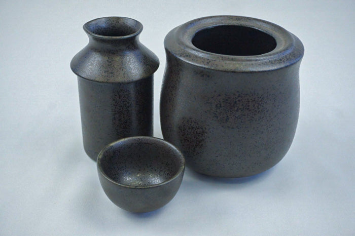 TEANAGOO Ceramic Sake Set with Warmer Pot Bamboo Tray, 10pcs/Set