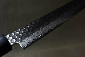 Japanese Petty Knife Zoom