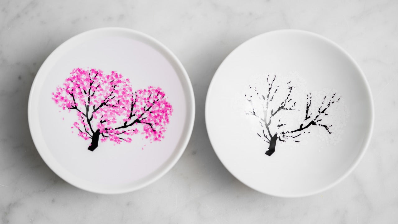 Color Changing Sakura Cherry Blossom Sake Cup - Ninja Kitchen Market